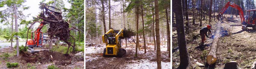 pre-construction land and forest clearing