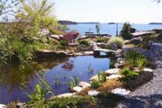 A pond installation in a custom landscape design. brooks and ponds