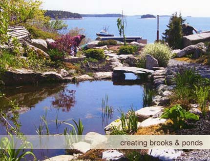 Brooks and ponds